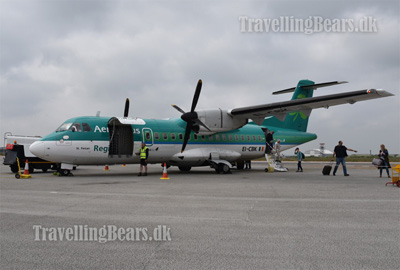 Travelling Bears arriving Newquay Airport