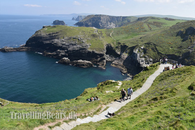 The Travelling Bears at Tintagel Castle in Cornwall